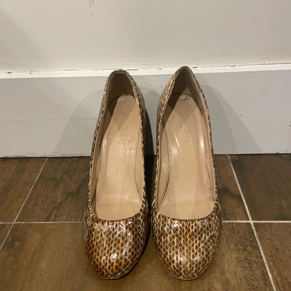J.Crew Collection Etta Pumps in Snakeskin